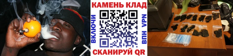 магазин  наркотиков  Богородицк  это как зайти  ГАШИШ Cannabis 