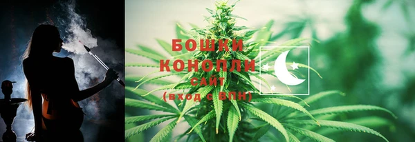 таблы Осинники