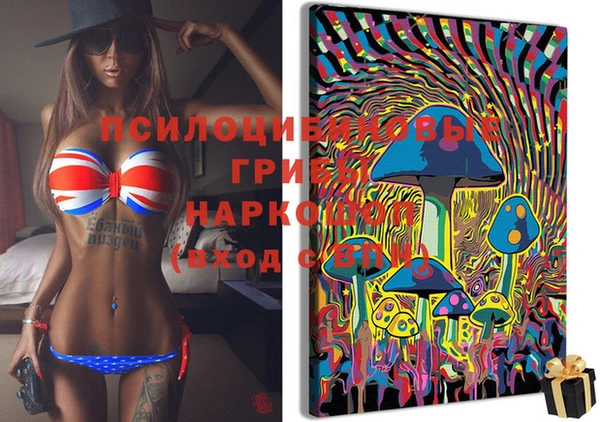 таблы Осинники
