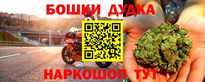 индика Апшеронск