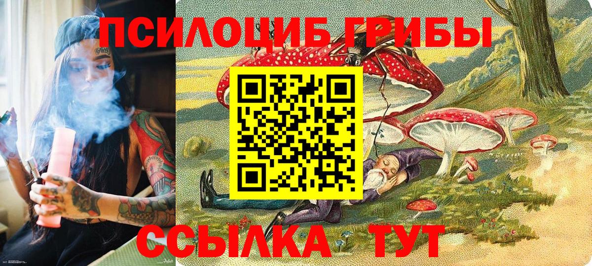 продажа наркотиков  Псилоцибиновые грибы мухоморы  Вход с VPN  Богородицк 