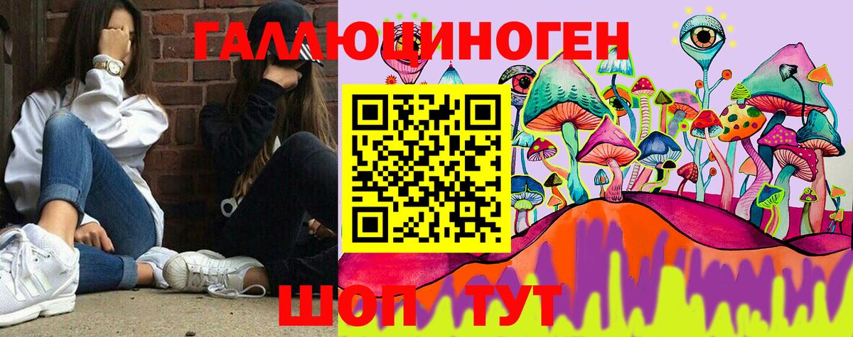 Псилоцибиновые грибы Psilocybine cubensis  Богородицк 